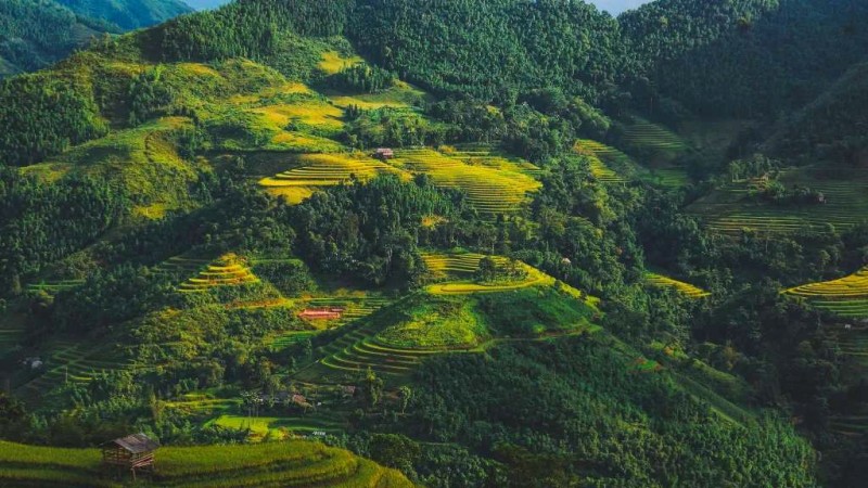 Hà Giang: Bản Phùng vàng mùa thu.