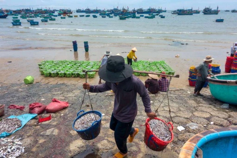 Biển Tuy Phong: Ngày nắng gió.