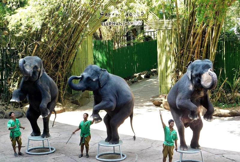 Safari World Bangkok: Phiêu lưu cho cả gia đình!