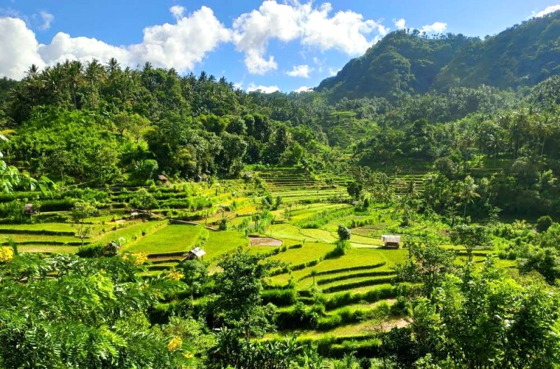 Khám phá 7 ruộng bậc thang Bali tuyệt đẹp.