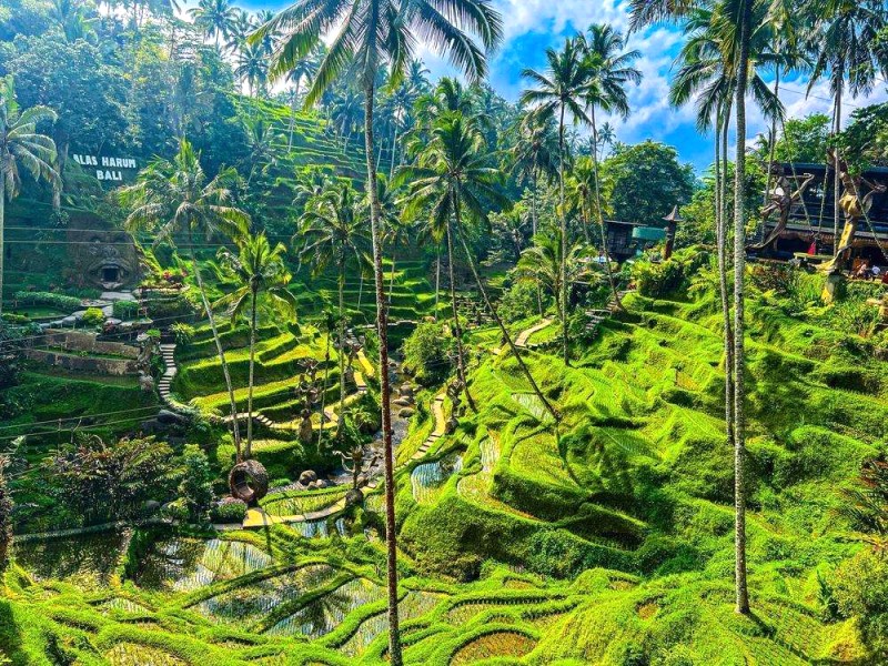 Hướng dẫn du lịch Bali: Kuta đến Ubud