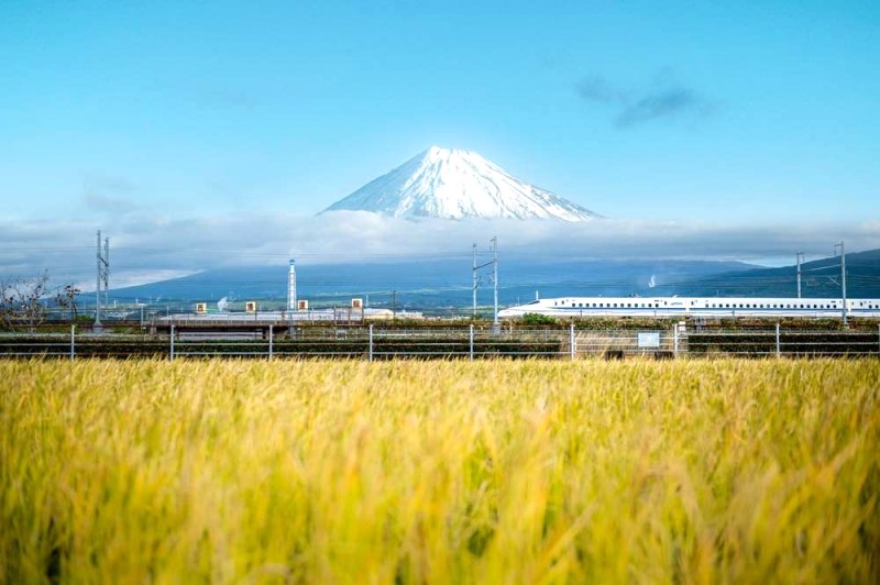 Hướng dẫn hoàn chỉnh về Shinkansen Nhật Bản