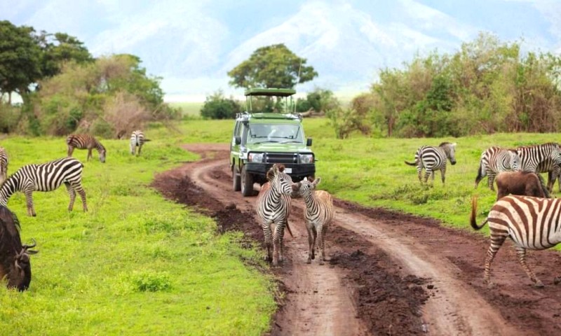 Safari Bình Thuận: Hoà mình thiên nhiên hoang sơ.