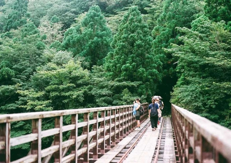 Leo núi Yakushima: Trải nghiệm thiên nhiên hoang sơ.