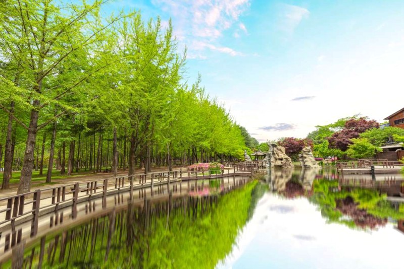 Hướng dẫn du lịch Seoul - Đảo Nami