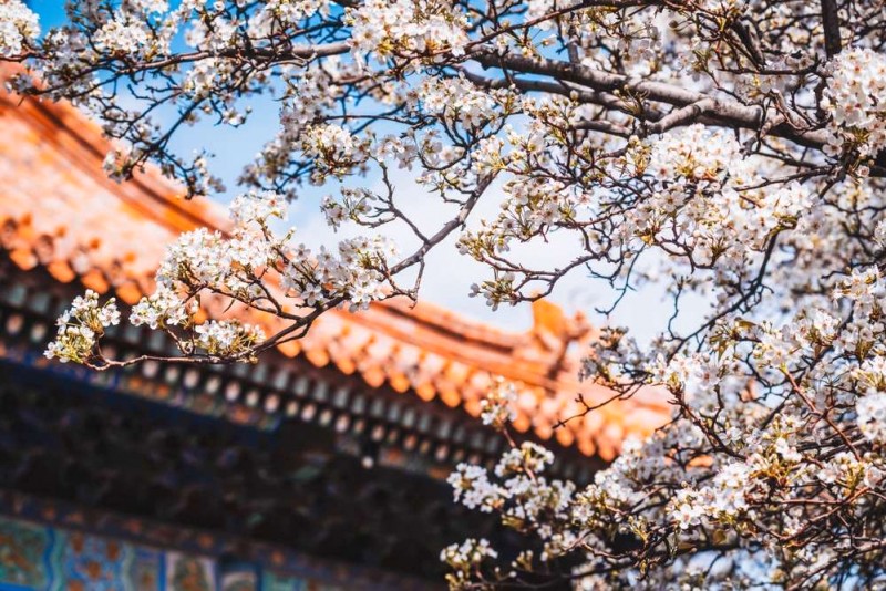 Hướng dẫn du lịch Bắc Kinh: Khi nào nên đến?