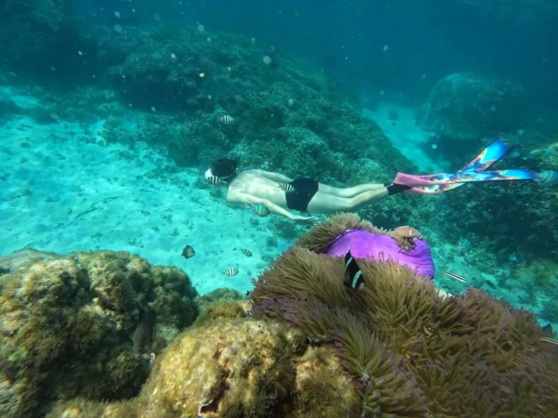 Freediving khám phá Phú Quý