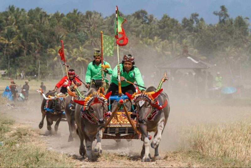 Bali tháng 7: Kinh nghiệm du lịch trọn gói