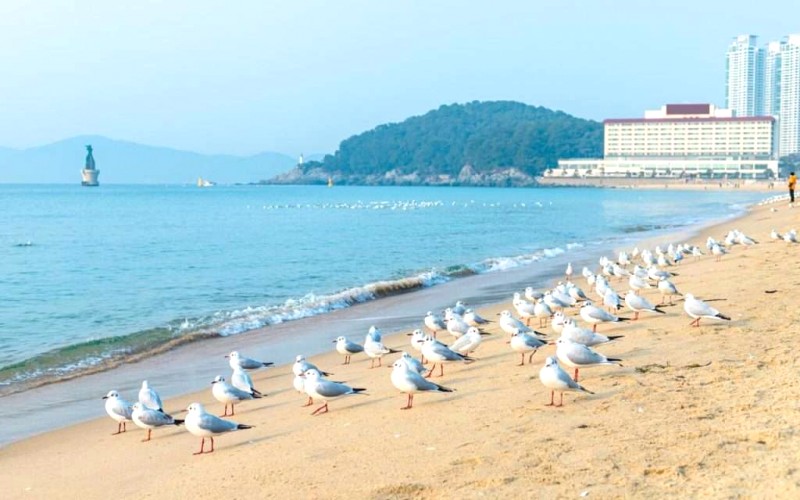 Hàn Quốc tháng 8: Cuối hè xứ kim chi