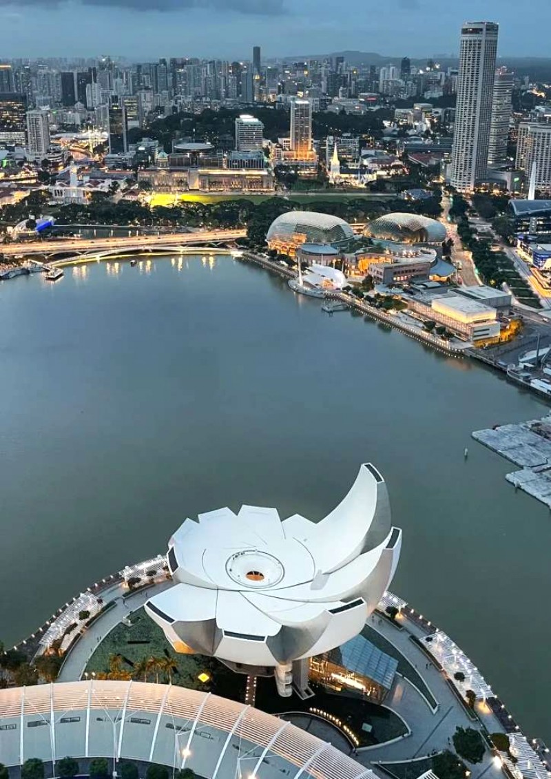 Singapore lung linh về đêm.