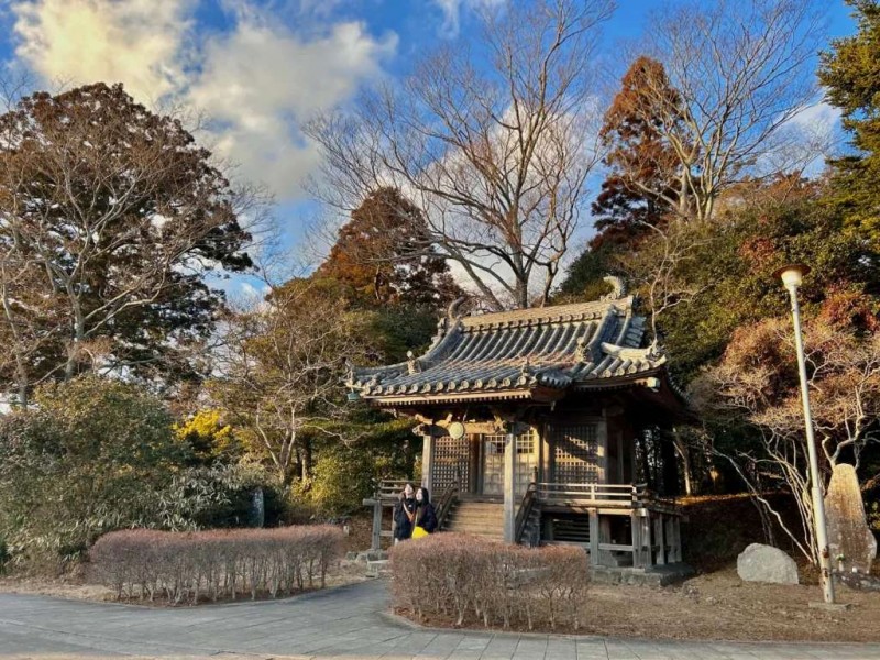 Vịnh Matsushima: Kỳ quan Nhật Bản.