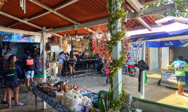 Bơi cùng triệu cá mòi ở Panagsama.