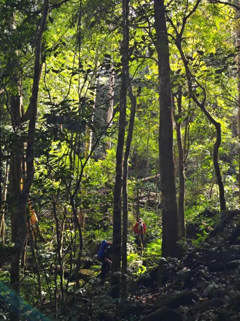 Trekking Brah Yang: Khám phá núi rừng & văn hóa người K'Ho.