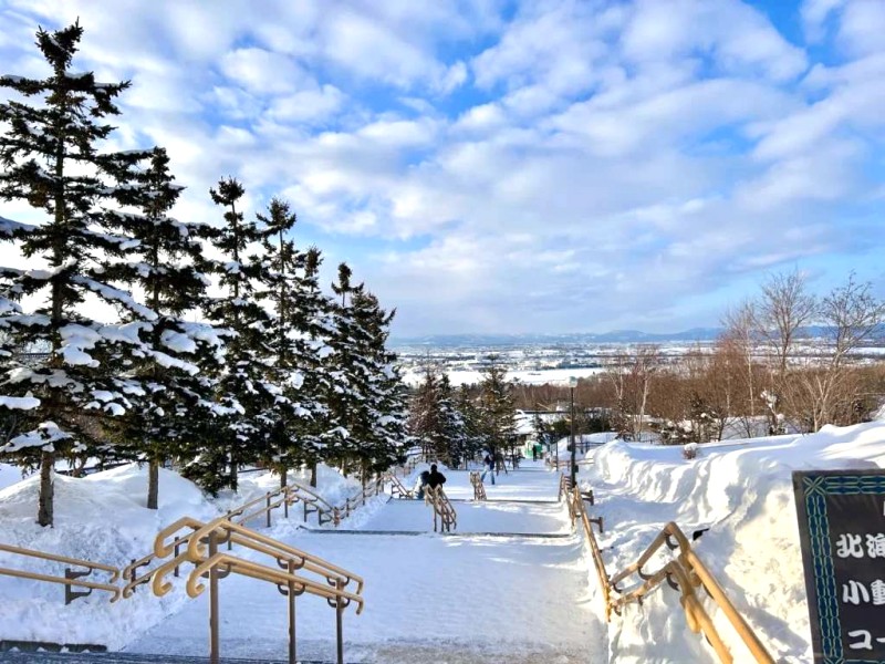 Khám phá Vườn thú Asahiyama sống động ở Hokkaido!