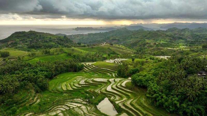 Khám phá Lombok: 55 Hoạt động Hấp dẫn