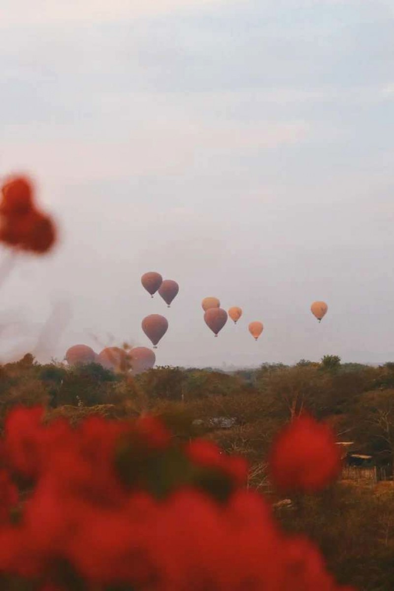 Bay khinh khí cầu ngắm bình minh Bagan.