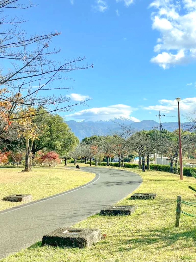 Khám phá Yamanashi: Du lịch tự túc, ngắm núi Phú Sĩ