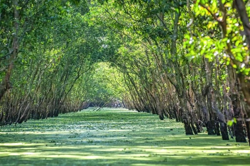 Cáp treo núi Sam: Kinh nghiệm đầy đủ