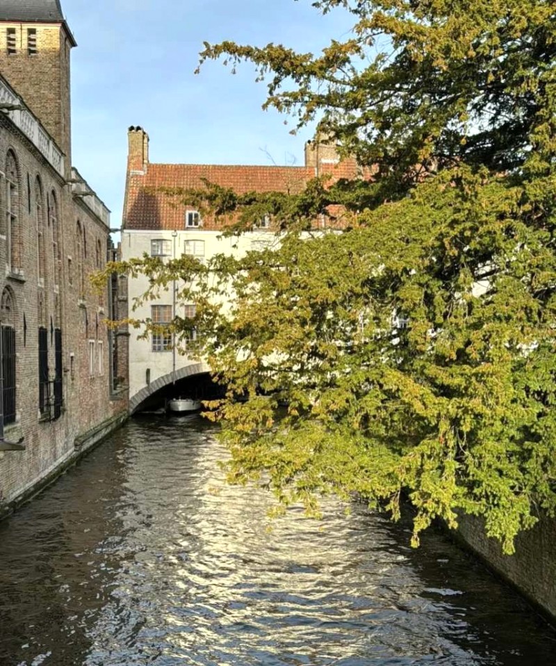 Lạc lối trong Bruges cổ kính.