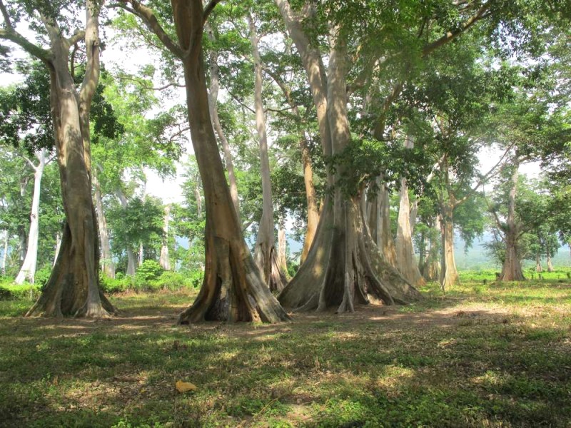 Khám phá Lombok: 55 hoạt động hấp dẫn.