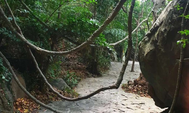 Khám phá Côn Đảo: Nơi yên bình hiếm có.