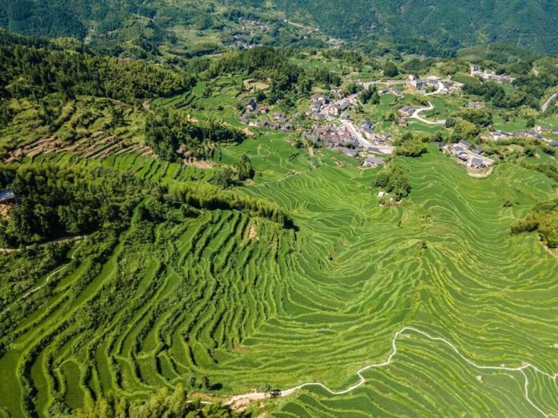 Chiết Giang: Hòa sắc thiên nhiên.