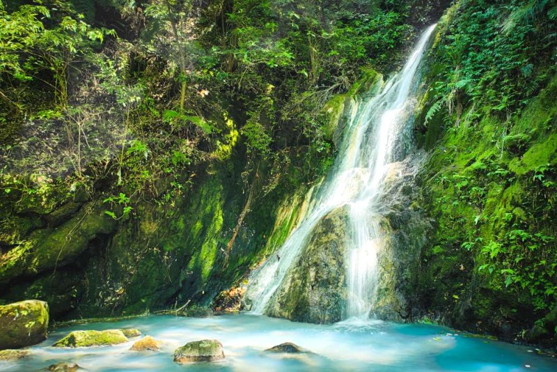 Khám phá vẻ đẹp Yangmingshan.