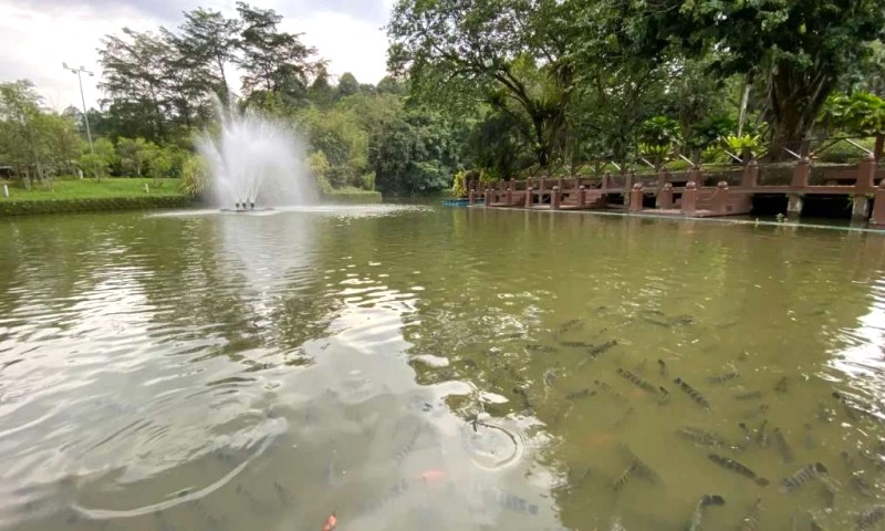 Ngày chậm rãi Kuala Lumpur cùng con.