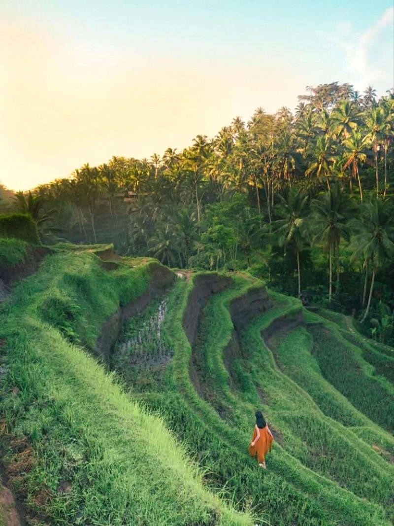 Kinh nghiệm du lịch Bali tháng 5: Từ A đến Z