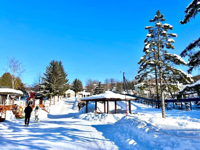 Khám phá Vườn thú Asahiyama hoang dã ở Hokkaido.