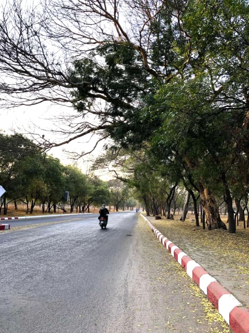 Bình minh Bagan trên khinh khí cầu.