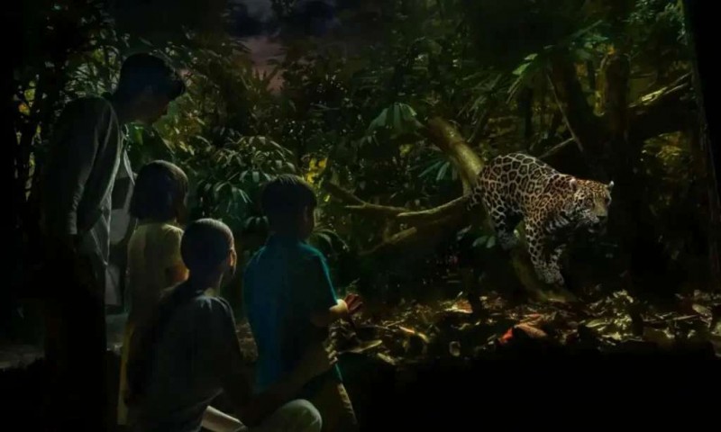 Kỳ quan đêm: Night Safari Singapore!