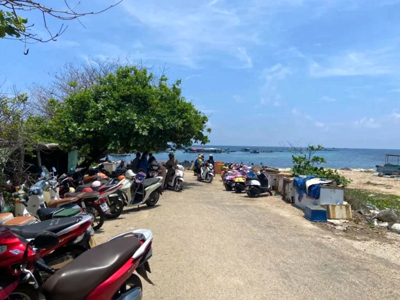 Lặn tự do tại Phú Quý