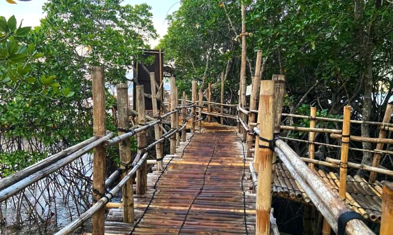 Khám phá thiên đường biển Coron, Philippines.