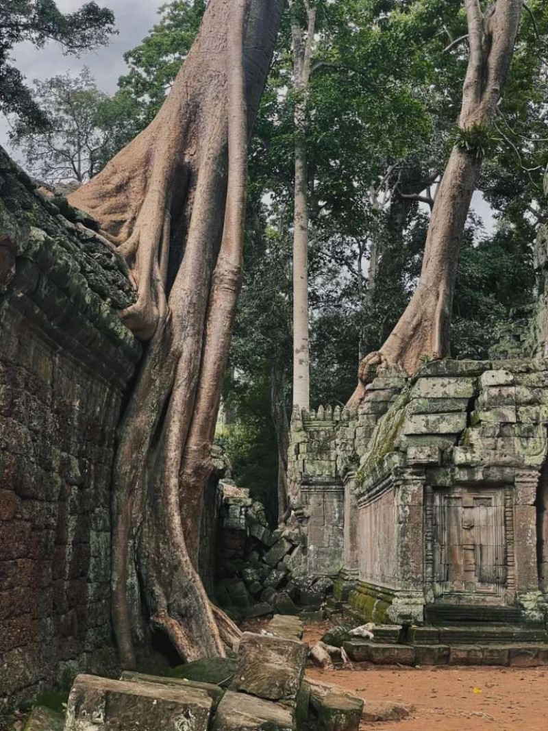 Trọn bộ bí kíp khám phá Siem Reap