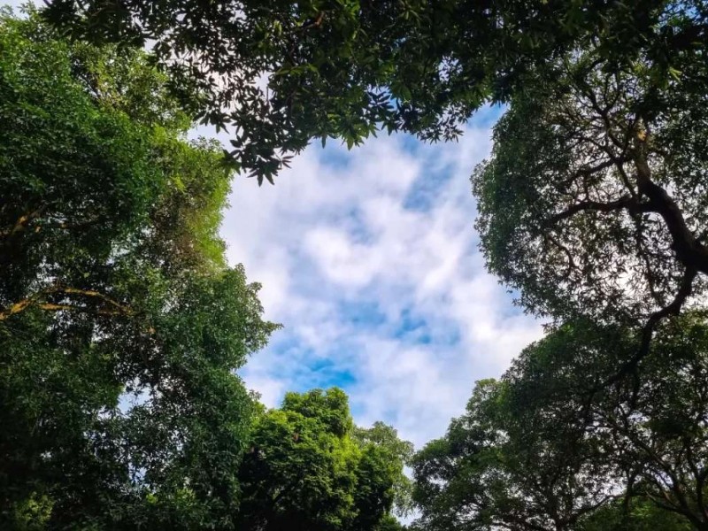 Núi Trầm: Viên ngọc Hà Nội