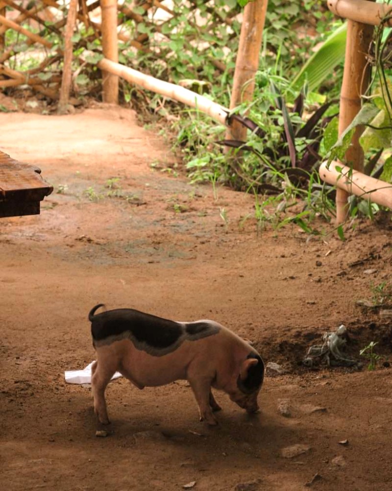 Văn hóa Khmer & Ẩm thực An Giang