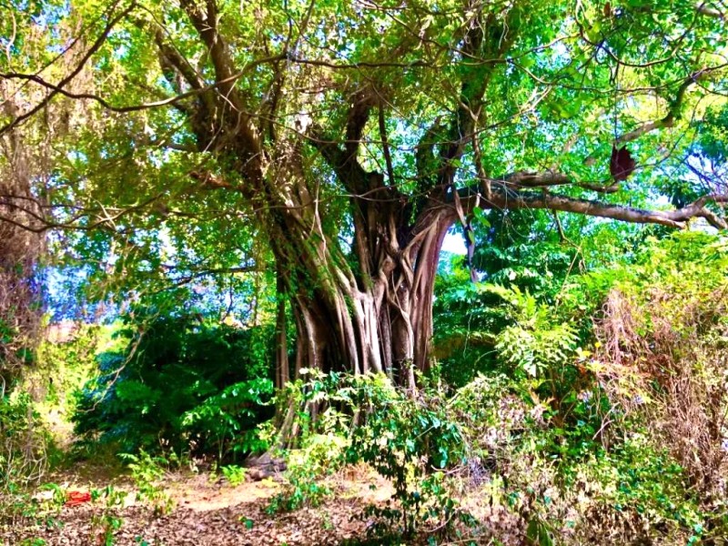 Đảo Thổ Chu: Nơi gió biển Tây Nam.