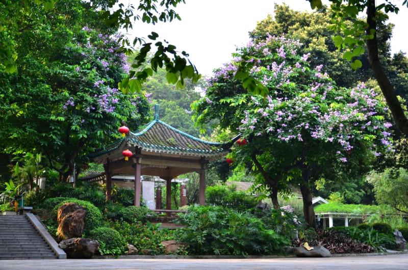 Khám phá Quảng Châu - Thâm Quyến tự túc