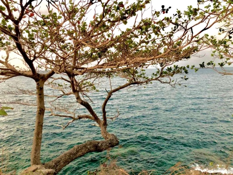 Đảo Thổ Chu: Nơi gió biển Tây Nam.