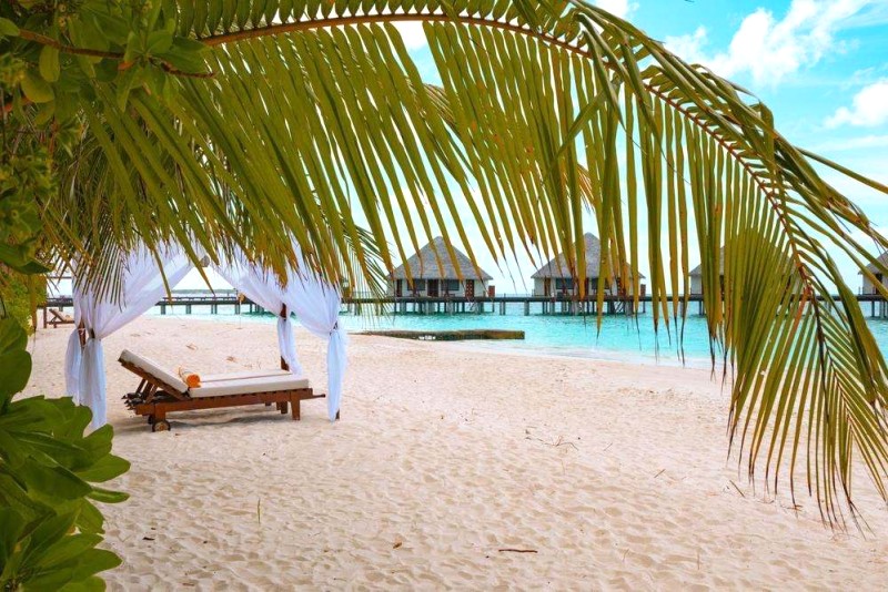 Thời điểm lý tưởng du lịch Maldives: [tháng] - [tháng]