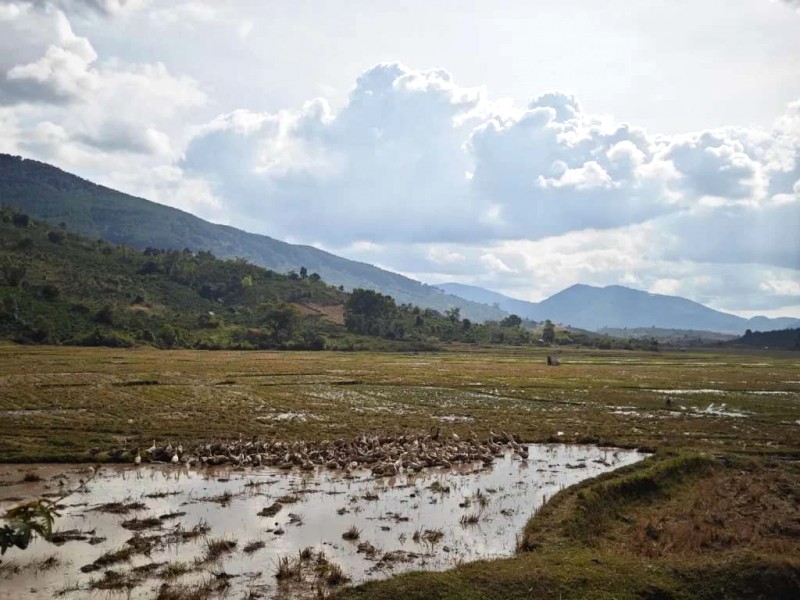 Trekking Brah Yang: Khám phá núi & văn hóa Kho, Di Linh.