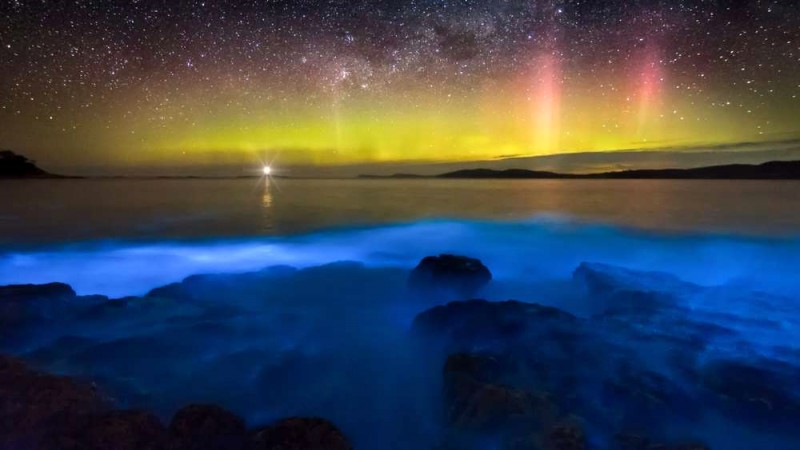 Bắt trọn Aurora Australis ở Tasmania: Mẹo du lịch trước chuyến săn cực quang.