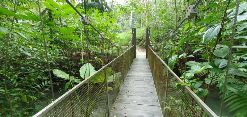 Khám phá tuyến Downtown Singapore