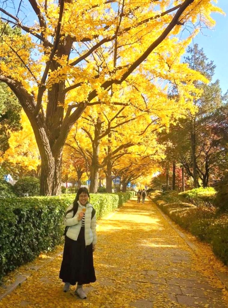 Thu Hàn Quốc tháng 9: Gõ cửa mùa vàng 🍁