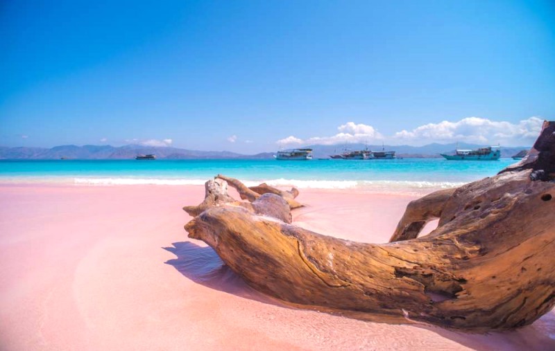 Khám phá Pink Beach: Viên ngọc ẩn của Labuan Bajo.