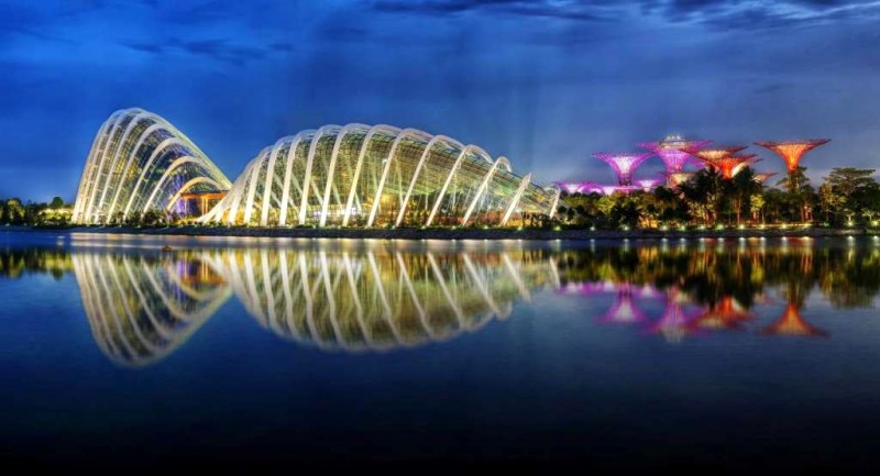 Biểu diễn ánh sáng Gardens by the Bay: Hoành tráng, rực rỡ!