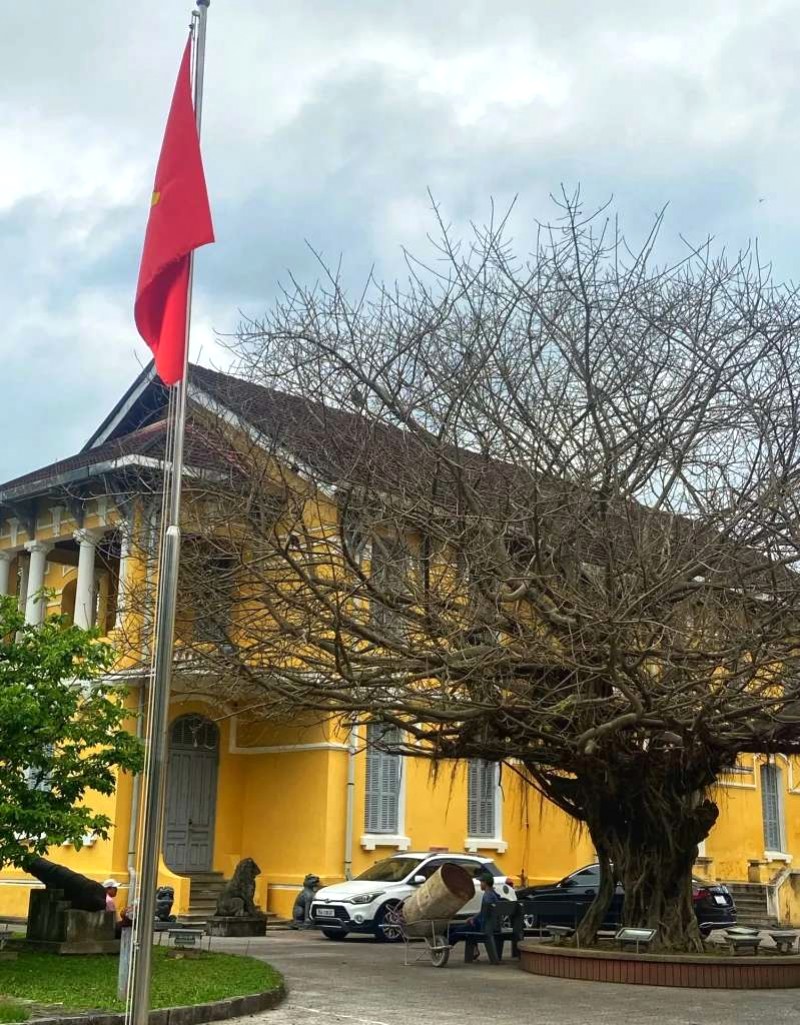 Khám phá 3 phố Huế: Tây, Ta, Tàu.