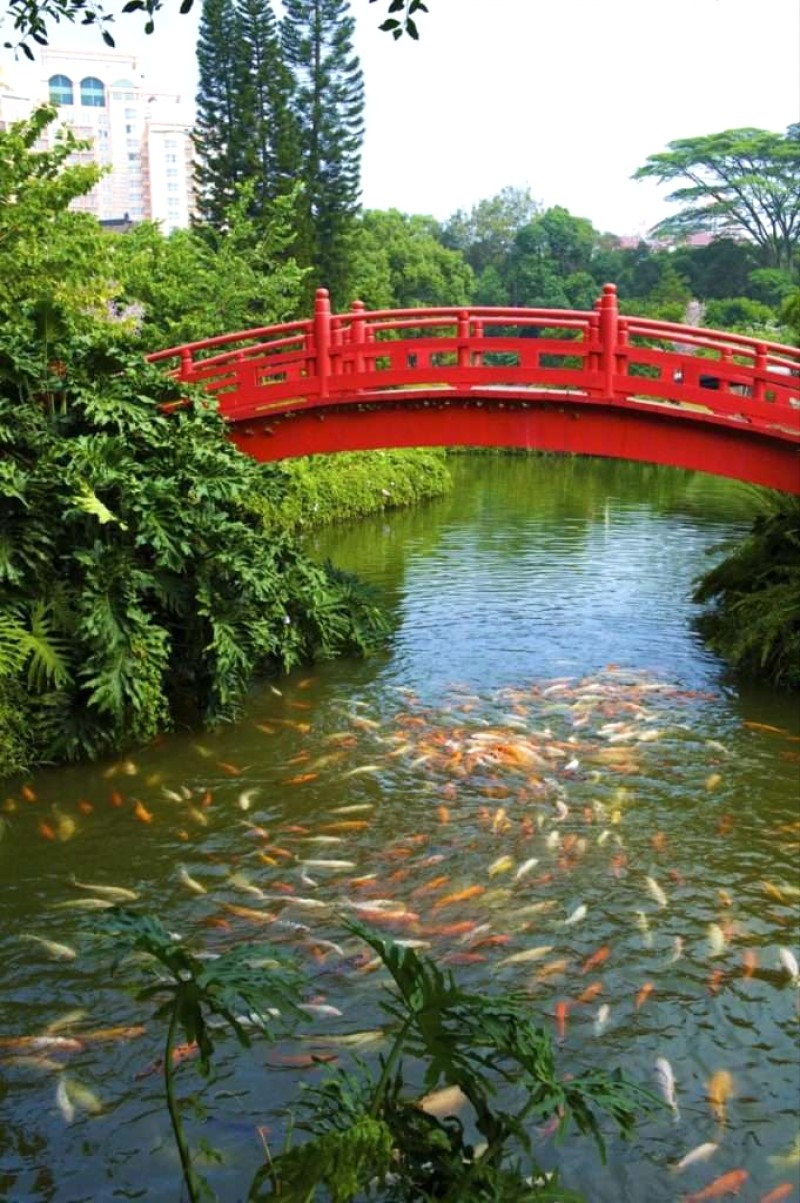 Bí kíp du lịch Thâm Quyến