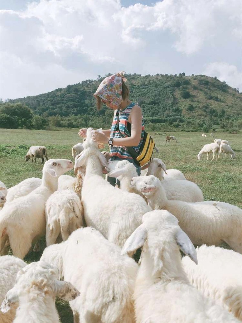 Ninh Bình: 7 điểm du lịch không thể bỏ qua